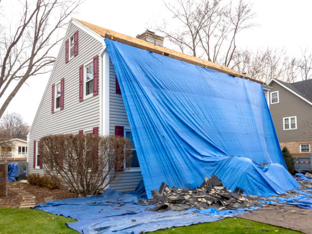 Best Steel Siding Installation  in Dane, WI