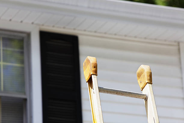 Affordable siding repair and maintenance services in Dane, WI